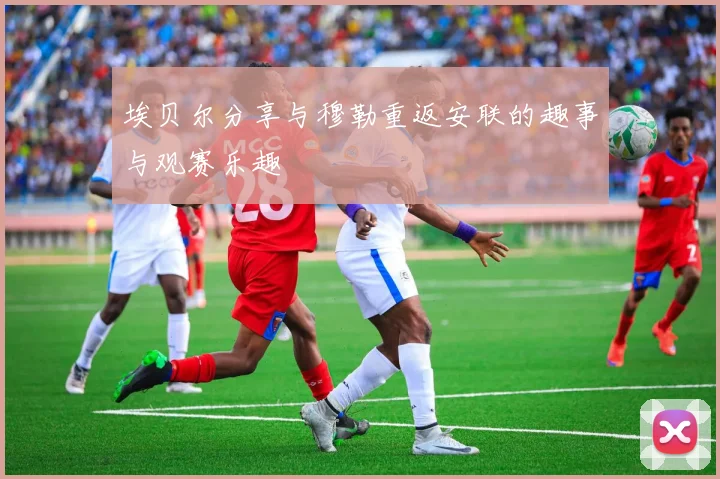 埃贝尔分享与穆勒重返安联的趣事与观赛乐趣